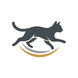 Cat Olympics